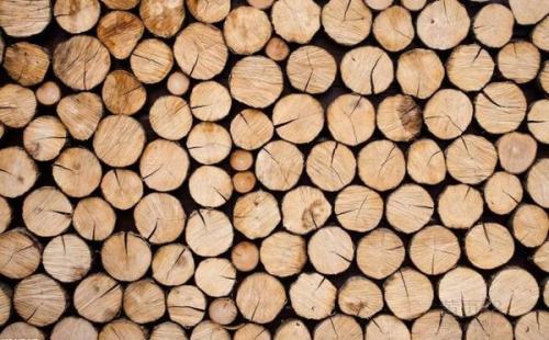 进口木材所需材料与清关流程