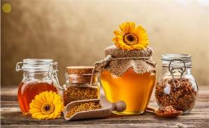 蜂蜜进口注意事项以及流程