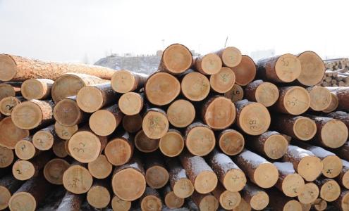 木材进口报关详细流程