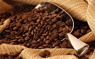 咖啡豆进口需要哪些资料