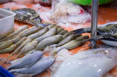巴沙鱼冻鱼/水产品进口前期，国外企业需要满足哪些基本条件
