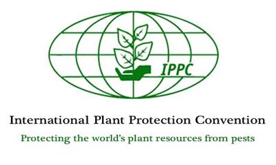 IPPC标识是什么