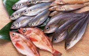 进口水产海鲜需要注意哪些问题？
