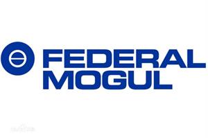 辉门 – Federal Mogul