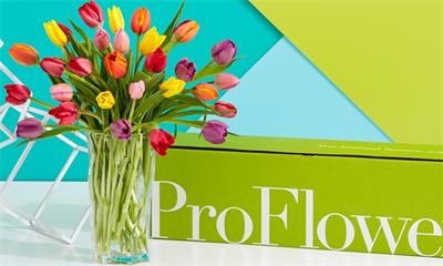 ProFlowers – 美国在线鲜花零售商