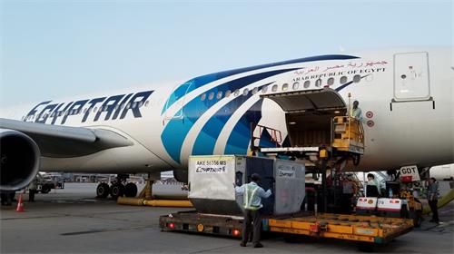 埃及货运航空 – Egyptair Cargo