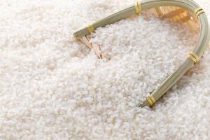 出口大米需要什么手续，出口大米是否有限制？