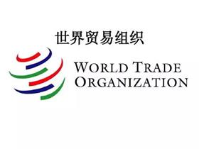 wto是什么组织，世界贸易组织wto成立时间是哪一天？